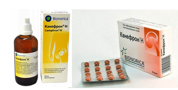 Фитолизин або канефрон що краще від циститу Фитолизин або канефрон що краще від циститу