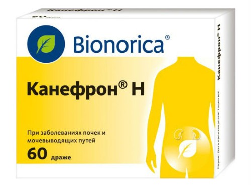 Фитолизин або канефрон що краще від циститу Фитолизин або канефрон що краще від циститу