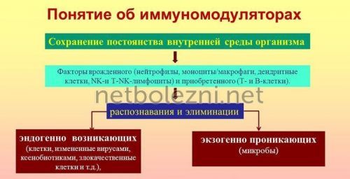 Риносинусит симптоми і лікування у дорослих