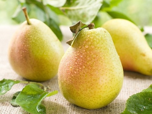 Маски з груші – корисні властивості для шкіри обличчя + 4 рецепта