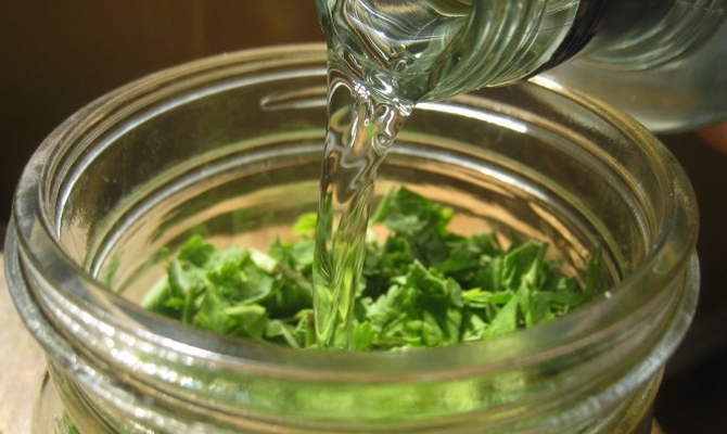 Петрушка допоможе повернути красу і підтримати здоров’я шкіри обличчя